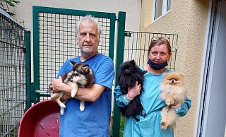 Martin Lück (ehrenamtlicher Mitarbeiter) und Tierheim-Leiterin Karin Keuter haben sich in den vergangenen Tagen um die beschlagnahmten Hunde gekümmert. - Tierschutzverein Paderborn Martin Lück (ehrenamtlicher Mitarbeiter) und Tierheim-Leiterin Karin Keuter haben sich in den vergangenen Tagen um die beschlagnahmten Hunde gekümmert. - Tierschutzverein Paderborn