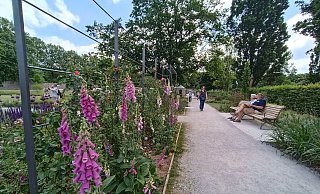 Für die Bänke auf dem Gelände der Landesgartenschau in Höxter können Patenschaften übernommen werden. - LGS Höxter/ Manuela Puls Für die Bänke auf dem Gelände der Landesgartenschau in Höxter können Patenschaften übernommen werden. - LGS Höxter/ Manuela Puls
