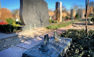 Einfach abgebrochen: Von dem 1,50 Meter großen Bronzeguss-Kreuz auf der Ruhestätte der Familie Nüßing ist nichts geblieben. Grabräuber haben auf dem Spexarder Friedhof zugeschlagen und auf mehr als 35 Ruhestätten gewütet. - Christian Bröder Einfach abgebrochen: Von dem 1,50 Meter großen Bronzeguss-Kreuz auf der Ruhestätte der Familie Nüßing ist nichts geblieben. Grabräuber haben auf dem Spexarder Friedhof zugeschlagen und auf mehr als 35 Ruhestätten gewütet. - Christian Bröder