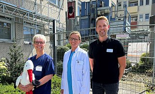 Das Baugerüst am St.-Josefs-Krankenhaus steht, es geht los: Technischer Leiter Manuel Klusenberg (v. r.), leitende Geburtshilfe-Oberärztin Birgit Kohlschein und Pflege-Teamleiterin Sandra Debruyne freuen sich über die Raumerweiterung in der Geburtshilfe. Der Storch steht stellvertretend für die Hebammen, die gerade im Kreißsaal alle Hände voll zu tun haben. - Kronsbein/Vincenz Das Baugerüst am St.-Josefs-Krankenhaus steht, es geht los: Technischer Leiter Manuel Klusenberg (v. r.), leitende Geburtshilfe-Oberärztin Birgit Kohlschein und Pflege-Teamleiterin Sandra Debruyne freuen sich über die Raumerweiterung in der Geburtshilfe. Der Storch steht stellvertretend für die Hebammen, die gerade im Kreißsaal alle Hände voll zu tun haben. - Kronsbein/Vincenz