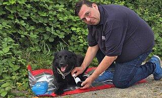 Schnell ist es beim Gassigehen passiert: Der Hund tritt in einen spitzen Steinm oder gar in eine Glasscherbe und blutet. Sandro Cajafa zeigt, wie Herrchen oder Frauchen die Pfote richtig verbinden können. - privat Schnell ist es beim Gassigehen passiert: Der Hund tritt in einen spitzen Steinm oder gar in eine Glasscherbe und blutet. Sandro Cajafa zeigt, wie Herrchen oder Frauchen die Pfote richtig verbinden können. - privat
