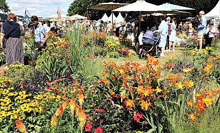 Höxter: Das Gartenfest in Corvey ist traditionell gut besucht. Aber wie sieht es aus, wenn zeitgleich die Landesgartenschau stattfindet? - Simone Flörke Höxter: Das Gartenfest in Corvey ist traditionell gut besucht. Aber wie sieht es aus, wenn zeitgleich die Landesgartenschau stattfindet? - Simone Flörke