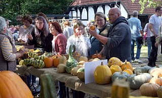 Der Kürbis-Stand der Gärtnerei Greve stand zentral im Museumsgarten und lockte zahlreiche Kunden an. Familie Pürschel begutachtet einen Kürbis, den sie vor allem zu Dekozwecken an diesem Tag erstand. Bei mehr als 30 Sorten hatte Christian Pürschel die Qual der Wahl. - Katharina Eisele Der Kürbis-Stand der Gärtnerei Greve stand zentral im Museumsgarten und lockte zahlreiche Kunden an. Familie Pürschel begutachtet einen Kürbis, den sie vor allem zu Dekozwecken an diesem Tag erstand. Bei mehr als 30 Sorten hatte Christian Pürschel die Qual der Wahl. - Katharina Eisele