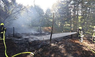 Die Feuerwehrkräfte hatten den Brand am Ziepelbrink schnell unter Kontrolle. - Nicole Sielermann Die Feuerwehrkräfte hatten den Brand am Ziepelbrink schnell unter Kontrolle. - Nicole Sielermann
