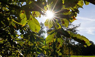 Der Oktober könnte in ganz Ostwestfalen-Lippe, wie hier im Bielefelder Nordpark, Rekordwerte erreichen. Für das "Brückentags-Wochenende" werden spätsommerliche Temperaturen erwartet. - Oliver Krato Der Oktober könnte in ganz Ostwestfalen-Lippe, wie hier im Bielefelder Nordpark, Rekordwerte erreichen. Für das "Brückentags-Wochenende" werden spätsommerliche Temperaturen erwartet. - Oliver Krato