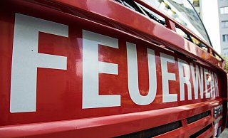Der Chef Nico Czimmernings bekommt Unterstützung. - (Symbolbild): Pixabay Der Chef Nico Czimmernings bekommt Unterstützung. - (Symbolbild): Pixabay