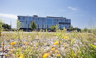 Zwischen dem Campus Handwerk (hinten) und dem Kreisverkehr an den Stadtwerken liegt die Brache, die bald bebaut werden soll. - Oliver Krato Zwischen dem Campus Handwerk (hinten) und dem Kreisverkehr an den Stadtwerken liegt die Brache, die bald bebaut werden soll. - Oliver Krato