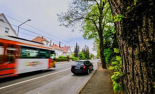 An dieser Stelle, zwischen Leo-Fall- und Leharstraße, sollen künftig die Stadtbahnen an einem Hochbahnsteig halten. Die alten Linden entlang der Friedhofsmauer müssen wohl weichen. - Susanne Lahr An dieser Stelle, zwischen Leo-Fall- und Leharstraße, sollen künftig die Stadtbahnen an einem Hochbahnsteig halten. Die alten Linden entlang der Friedhofsmauer müssen wohl weichen. - Susanne Lahr