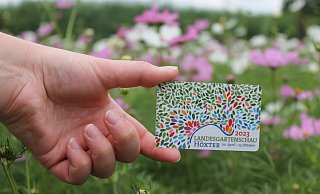 Die Dauerkarten-Rabattaktion in Höxter endet. - LGS Höxter Die Dauerkarten-Rabattaktion in Höxter endet. - LGS Höxter