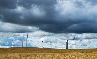 Sonne und trockenes Erntewetter wären aus seiner Sicht nun schöner als tagelanger Regen. - Jens Kalaene Sonne und trockenes Erntewetter wären aus seiner Sicht nun schöner als tagelanger Regen. - Jens Kalaene