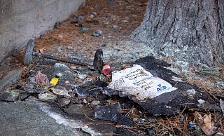 Erneut sind Abfallbehälter auf dem Westfriedhof in Paderborn angezündet worden. - (Archivbild) Niklas Tüns Erneut sind Abfallbehälter auf dem Westfriedhof in Paderborn angezündet worden. - (Archivbild) Niklas Tüns