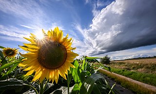Hat der Sommer 2023 seinen Namen verdient? NRW zieht Bilanz, denn es gibt auch Gewinner. - Jens Kalaene Hat der Sommer 2023 seinen Namen verdient? NRW zieht Bilanz, denn es gibt auch Gewinner. - Jens Kalaene