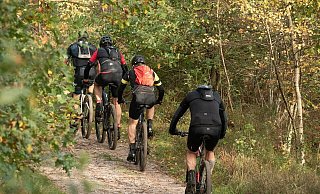 Eine Tour mit dem E-Mountainbike endet für einen 14-jährigen Bürener mit einem schweren Sturz. Seine jungen Begleiter helfen tatkräftig. (Symbolbild) - Pixabay/sabinevanerp Eine Tour mit dem E-Mountainbike endet für einen 14-jährigen Bürener mit einem schweren Sturz. Seine jungen Begleiter helfen tatkräftig. (Symbolbild) - Pixabay/sabinevanerp