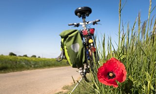 In Borgentreich sollen Radfahrer einen neuen Rundweg bekommen. - Symbolfoto: Pixabay In Borgentreich sollen Radfahrer einen neuen Rundweg bekommen. - Symbolfoto: Pixabay