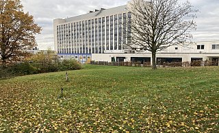 Auf der Fläche am Klinikum will die Arbeitsgemeinschaft Klimaschutz die Weinreben anpflanzen. - Corina Lass Auf der Fläche am Klinikum will die Arbeitsgemeinschaft Klimaschutz die Weinreben anpflanzen. - Corina Lass