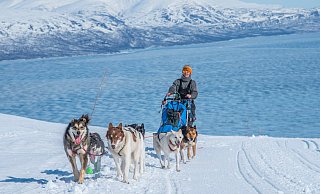 Katharina Koch-Hartke nahm in Skandinavien an Langdistanz-Schlittenhunderennen statt. - Michael Törnkvist Katharina Koch-Hartke nahm in Skandinavien an Langdistanz-Schlittenhunderennen statt. - Michael Törnkvist