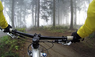 Mountainbiker sind gern im Wald unterwegs. Dabei scheuchen sie mitunter Tiere auf. - Pixabay Mountainbiker sind gern im Wald unterwegs. Dabei scheuchen sie mitunter Tiere auf. - Pixabay