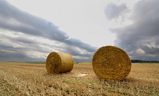 Hinter Strohballen auf einem Feld ziehen dunkle Wolken auf. - picture alliance/dpa Hinter Strohballen auf einem Feld ziehen dunkle Wolken auf. - picture alliance/dpa
