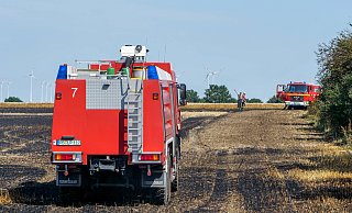 Im Bereich der Panzerringstraße bei Hövelhof ist es am Montag zu einem Flächenbrand gekommen. - (Symbolfoto) Ralph Meyer Im Bereich der Panzerringstraße bei Hövelhof ist es am Montag zu einem Flächenbrand gekommen. - (Symbolfoto) Ralph Meyer
