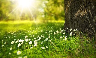 Die Temperaturen im Kreis Herford steigen und die Sonne kommt immer öfter raus. - Symbolfoto: Pixabay/Larisa-K Die Temperaturen im Kreis Herford steigen und die Sonne kommt immer öfter raus. - Symbolfoto: Pixabay/Larisa-K