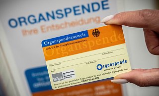 Neben dem Organspende-Ausweis gibt es nun auch ein Organspende-Register, in das man sich eintragen kann. - Michael Kappeler Neben dem Organspende-Ausweis gibt es nun auch ein Organspende-Register, in das man sich eintragen kann. - Michael Kappeler