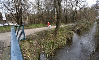 Südlich des Verler Sees (im Hintergrund) fließt der Ölbach. Seine Renaturierung, ebenso die des Sees, hat der Rat in einem Konzept vor drei Jahren beschlossen. Dafür sind die Grundstücke vorgesehen, die die Stadt jetzt kaufen möchte. Grüne, SPD und FWG haben angesichts der Ablehnung der Bürger, sich für die Ausrichtung der Landesgartenschau 2029 zu bewerben, Zweifel. - Thoering33161 Hoevelhof Südlich des Verler Sees (im Hintergrund) fließt der Ölbach. Seine Renaturierung, ebenso die des Sees, hat der Rat in einem Konzept vor drei Jahren beschlossen. Dafür sind die Grundstücke vorgesehen, die die Stadt jetzt kaufen möchte. Grüne, SPD und FWG haben angesichts der Ablehnung der Bürger, sich für die Ausrichtung der Landesgartenschau 2029 zu bewerben, Zweifel. - Thoering33161 Hoevelhof