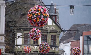 Durch die Blumenschau hat Höxter an Attraktivität gewonnen. - David Schellenberg (Symbolbild) Durch die Blumenschau hat Höxter an Attraktivität gewonnen. - David Schellenberg (Symbolbild)