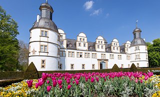 Am Schloss in Schloß Neuhaus gibt es im Sommer erstmals ein Festival mit kölscher Musik. - (Archivbild) Niklas Tüns Am Schloss in Schloß Neuhaus gibt es im Sommer erstmals ein Festival mit kölscher Musik. - (Archivbild) Niklas Tüns