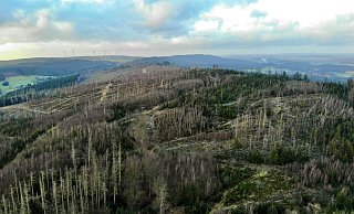 Das Eggegebirge, hier bei Altenbeken, steht seit knapp einem Jahr im Fokus von Nationalparkplänen. Im März 2023 hatte die NW exklusiv darüber berichtet. - Jens Reddeker Das Eggegebirge, hier bei Altenbeken, steht seit knapp einem Jahr im Fokus von Nationalparkplänen. Im März 2023 hatte die NW exklusiv darüber berichtet. - Jens Reddeker