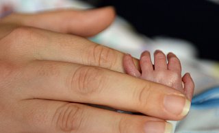 Extreme Frühchen: Weil die Behandlung der kleinen Patienten risikoreich ist, müssen Kliniken Mindestmengen an Fällen vorweisen, um sie weiter durchführen zu können. In OWL drohte drei Standorten deshalb das Aus. - Britta Pedersen Extreme Frühchen: Weil die Behandlung der kleinen Patienten risikoreich ist, müssen Kliniken Mindestmengen an Fällen vorweisen, um sie weiter durchführen zu können. In OWL drohte drei Standorten deshalb das Aus. - Britta Pedersen