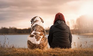 Viele Menschen haben eine ganz besondere Beziehung zu ihrem Haustier. Es ist Familienmitglied, bester Freund und Zuhörer. Wenn das geliebte Haustier stirbt, ist das schmerzvoll und viele wünschen sich dann einen besonderen Abschied vom treuen Begleiter. - Seaq68/Pixabay Viele Menschen haben eine ganz besondere Beziehung zu ihrem Haustier. Es ist Familienmitglied, bester Freund und Zuhörer. Wenn das geliebte Haustier stirbt, ist das schmerzvoll und viele wünschen sich dann einen besonderen Abschied vom treuen Begleiter. - Seaq68/Pixabay