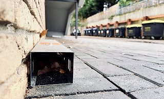 Eine Rattenfalle mit Giftködern wartet auf den Besuch der Nager. - Stefan Becker Eine Rattenfalle mit Giftködern wartet auf den Besuch der Nager. - Stefan Becker