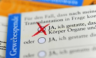 Die Rückseite eines ausgefüllten Organspendeausweises. Das Zustimmungsfeld ist angekreuzt. - Marie Reichenbach/dpa Die Rückseite eines ausgefüllten Organspendeausweises. Das Zustimmungsfeld ist angekreuzt. - Marie Reichenbach/dpa