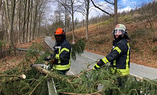 Feuerwehrleute der Löschabteilung Brackwede (Foto) und viele ihrer Kollegen waren am Wochenende ununterbrochen unterwegs, um wieder für freie Straßen zu sorgen. Hier auf der Osningstraße gab es eine Reihe von umgestürzten Bäumen, die beseitigt werden mussten – eine schweißtreibende und teilweise gefährliche Aufgabe. Foto: Jürgen Mahncke - Jürgen Mahncke Feuerwehrleute der Löschabteilung Brackwede (Foto) und viele ihrer Kollegen waren am Wochenende ununterbrochen unterwegs, um wieder für freie Straßen zu sorgen. Hier auf der Osningstraße gab es eine Reihe von umgestürzten Bäumen, die beseitigt werden mussten – eine schweißtreibende und teilweise gefährliche Aufgabe. Foto: Jürgen Mahncke - Jürgen Mahncke