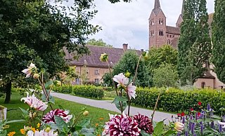 Die Dahlie soll auf der LGS in Höxter in den nächsten Wochen in Szene gesetzt werden. - LGS Die Dahlie soll auf der LGS in Höxter in den nächsten Wochen in Szene gesetzt werden. - LGS