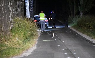 Auf der Anliegerstraße in Langenberg hatten sich dramatische Szene abgespielt. Hier das Tatwerkzeug vorm Baum. - Andreas Eickhoff Auf der Anliegerstraße in Langenberg hatten sich dramatische Szene abgespielt. Hier das Tatwerkzeug vorm Baum. - Andreas Eickhoff