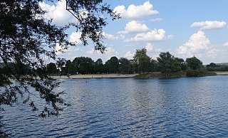 Die Stadt Höxter warnt vor Blaualgen am Godelheimer See. - Moritz Räker Die Stadt Höxter warnt vor Blaualgen am Godelheimer See. - Moritz Räker