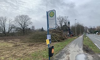Das 12.000 Quadratmeter große Grundstück liegt an der Babenhauser Straße, an der Bushaltestelle Thomashof, kurz hinter der Andreaskirche (im Hintergrund). - Ivonne Michel Das 12.000 Quadratmeter große Grundstück liegt an der Babenhauser Straße, an der Bushaltestelle Thomashof, kurz hinter der Andreaskirche (im Hintergrund). - Ivonne Michel