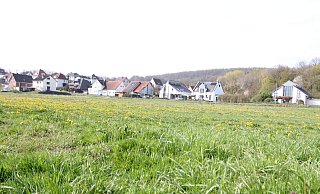 Auf dieser Fläche soll das neue Wohngebiet entstehen. Im Hintergrund ist der Alte Kirchweg zu sehen. - Björn Kenter Auf dieser Fläche soll das neue Wohngebiet entstehen. Im Hintergrund ist der Alte Kirchweg zu sehen. - Björn Kenter
