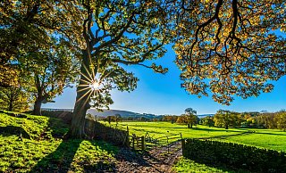 Die Sonne schien in diesem Jahr ungewöhnlich oft. Das hat Folgen für die Natur - und uns Menschen. - Pixabay Die Sonne schien in diesem Jahr ungewöhnlich oft. Das hat Folgen für die Natur - und uns Menschen. - Pixabay