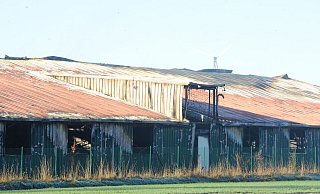 Der noch relativ neue Schweinemaststall brannte komplett aus. 750 Tiere starben. - Joern Spreen-Ledebur Der noch relativ neue Schweinemaststall brannte komplett aus. 750 Tiere starben. - Joern Spreen-Ledebur