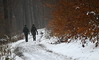 Auch die letzten schneebedeckten Flächen werden am Wochenende verschwunden sein - das Thermometer steigt. - (c) Copyright 2022, dpa (www.dpa.de). Alle Rechte vorbehalten Auch die letzten schneebedeckten Flächen werden am Wochenende verschwunden sein - das Thermometer steigt. - (c) Copyright 2022, dpa (www.dpa.de). Alle Rechte vorbehalten