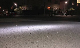 Unbekannte warfen Hunderte Reißzwecken auf die Straße Ehlentruper Weg – zwischen Fröbel- und Diesterwegstraße. - privat Unbekannte warfen Hunderte Reißzwecken auf die Straße Ehlentruper Weg – zwischen Fröbel- und Diesterwegstraße. - privat