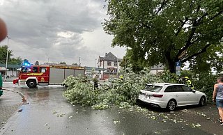 Als die Mutter in ihrem Audi A4 Avant in der Parklücke an der Kurfürstenstraße auf ihren Sohn wartete, kamen Teile eines Baumes herunter und prallten auf das Fahrzeug. - Claus Frickemeier Als die Mutter in ihrem Audi A4 Avant in der Parklücke an der Kurfürstenstraße auf ihren Sohn wartete, kamen Teile eines Baumes herunter und prallten auf das Fahrzeug. - Claus Frickemeier