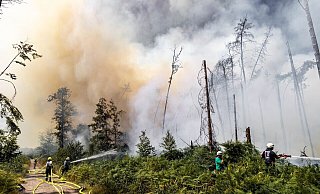 Der Waldbrand im hessischen Münster ist inzwischen gelöscht. Vorbei ist die Gefahr jedoch nicht. - -- Der Waldbrand im hessischen Münster ist inzwischen gelöscht. Vorbei ist die Gefahr jedoch nicht. - --