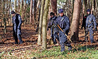 Polizisten der Einsatzhundertschaft durchstreifen den Wald am Habichtsee. - Ralph Meyer Polizisten der Einsatzhundertschaft durchstreifen den Wald am Habichtsee. - Ralph Meyer