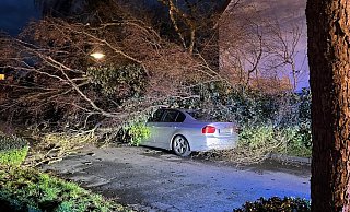 Diese parkende Auto wurde an der Tilsiter Straße von einem umgestürzten Baum erwischt. - Feuerwehr Diese parkende Auto wurde an der Tilsiter Straße von einem umgestürzten Baum erwischt. - Feuerwehr