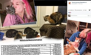Das Tierheim Bielefeld übernahm 39 der Tiere. Entsprechend hoch waren dort die Kosten. - Fotos: privat, Facebook / Montage: Thomas Grundmann Das Tierheim Bielefeld übernahm 39 der Tiere. Entsprechend hoch waren dort die Kosten. - Fotos: privat, Facebook / Montage: Thomas Grundmann