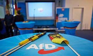 Das starke Abschneiden der AfD bereitet Politikern im Kreis Gütersloh Sorge. - Symbolbild: dpa Das starke Abschneiden der AfD bereitet Politikern im Kreis Gütersloh Sorge. - Symbolbild: dpa