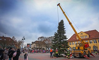 Viele Anwohner sind dabei, wenn der Baum aufgestellt wird. Diesmal leider ohne Glühwein-Ausschank und ohne "O Tannenbaum"-Chor. - Sarah Jonek Fotografie Viele Anwohner sind dabei, wenn der Baum aufgestellt wird. Diesmal leider ohne Glühwein-Ausschank und ohne "O Tannenbaum"-Chor. - Sarah Jonek Fotografie